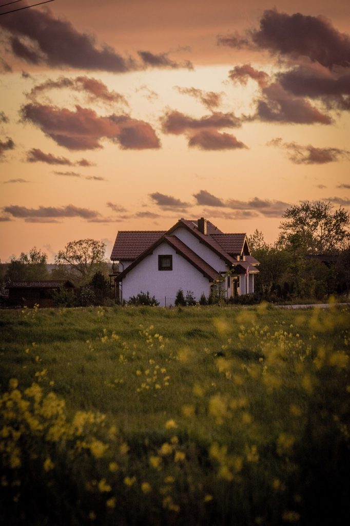 house, meadow, grass